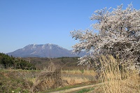 IMG_3058.JPG