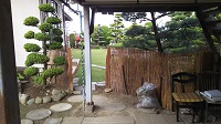 DSC_0034.JPG