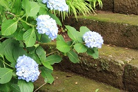 IMG_3596.JPG