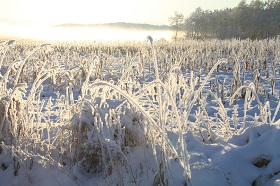 IMG_4455.JPG