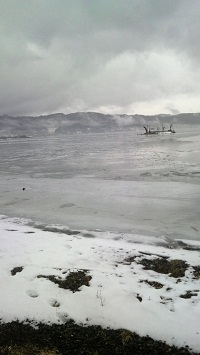 2012020711520001.jpg