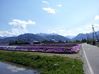 003.jpg
