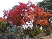 20121113_112711.jpg