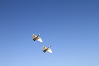 IMG_2306.JPG