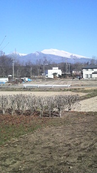 2011121011040000.jpg