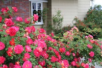 IMG_6191.jpg