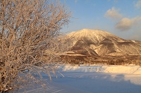 IMG_0667.jpg
