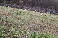 IMG_9484.JPG