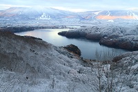 IMG_9878.JPG
