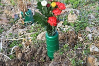 IMG_2972.JPG