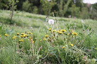 IMG_3275.JPG