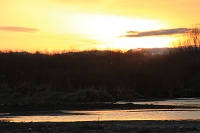 IMG_1157.jpg
