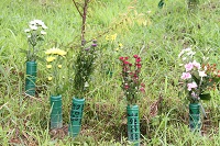 IMG_8415.JPG