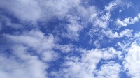 DSC_0181.JPG