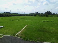 IMG_20170802_094428.jpg