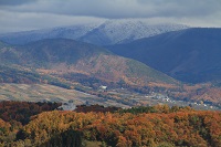 IMG_5785.JPG