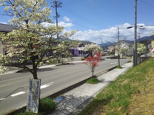 DSC_5584.JPG