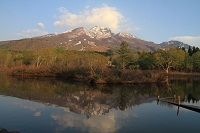 IMG_5268.jpg