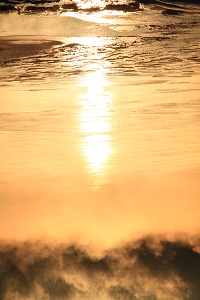 IMG_3725.jpg