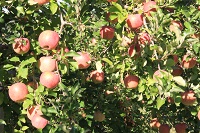 IMG_8470.jpg