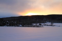 IMG_0420.jpg