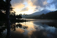 IMG_7035.JPG