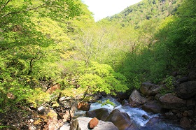 IMG_6169.jpg