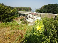 IMG_20140731_074034.jpg
