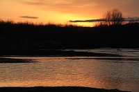 IMG_1166.JPG