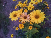 20120730_185506.jpg