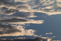 IMG_7293.jpg