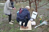 IMG_2445.jpg