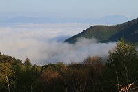 IMG_6063.jpg