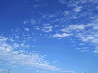 IMG_20171027_150159.jpg