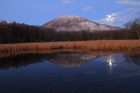 IMG_7074.JPG