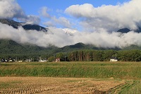 IMG_5566.jpg
