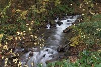 IMG_5773.jpg