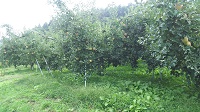DSC_0070.JPG