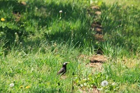 IMG_5579.jpg
