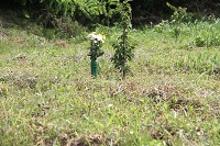 IMG_4316.jpg