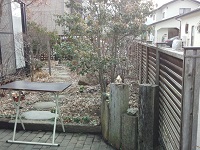 012.jpg