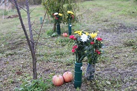 IMG_5778.JPG