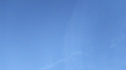 DSC_7237.JPG