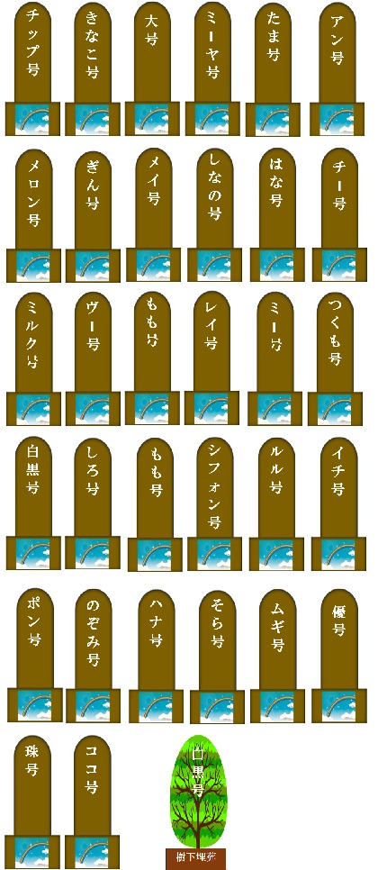 2000.jpg