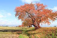 IMG_2286.jpg