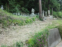 003.jpg
