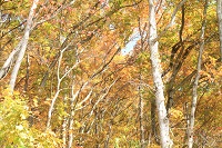IMG_9608.jpg