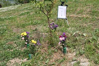 IMG_1073.JPG