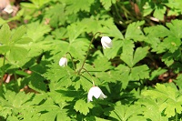 IMG_6168.JPG