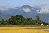 IMG_7657.jpg